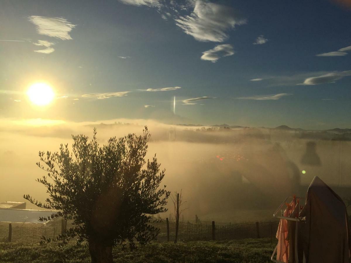 Ama Lur Otel Hasparren Dış mekan fotoğraf