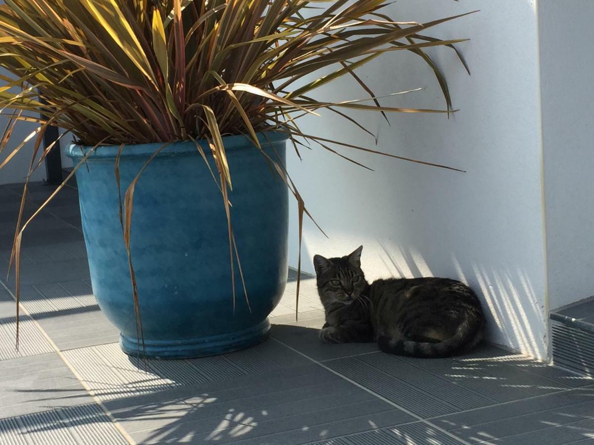 Ama Lur Otel Hasparren Dış mekan fotoğraf